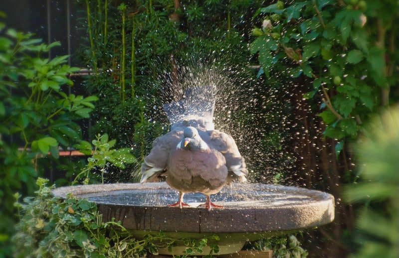 Upcycled Bird Bath