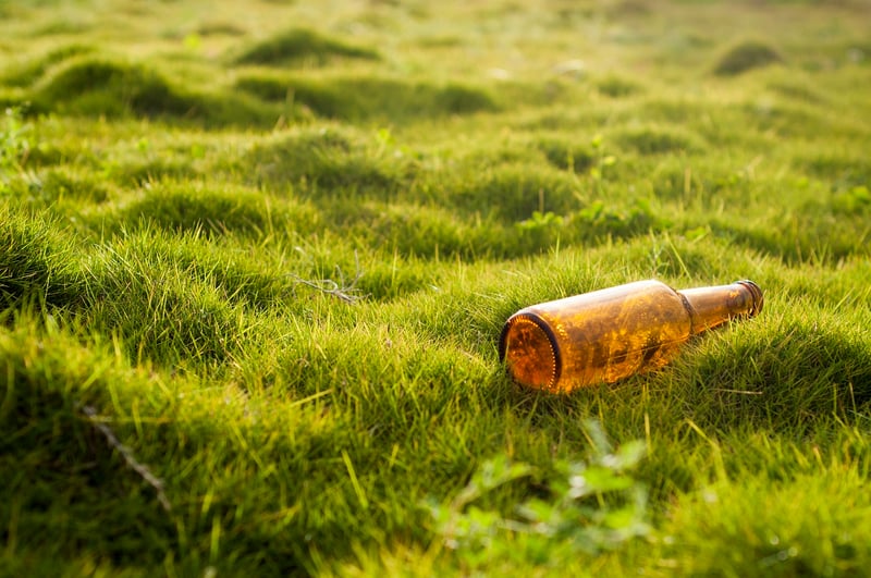 Bottle Garden Edging
