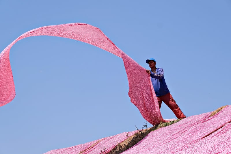 Eco-Friendly Textiles